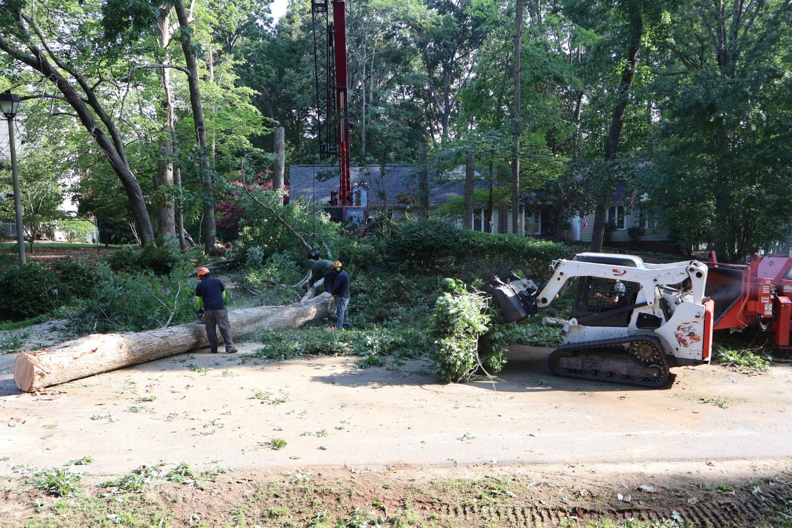 Crew and skid steer cleaning up branches with crane in background
